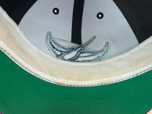 Load image into Gallery viewer, Tampa Bay Devil Rays American Needle Snapback Baseball Hat