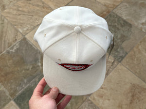 Vintage Louisville Cardinals The Game Circle Logo Snapback College Hat