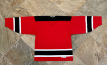 Load image into Gallery viewer, Vintage Albany River Rats AHL CCM Hockey Jersey, Size Large