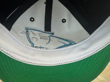 Load image into Gallery viewer, Vintage Carolina Panthers Sports Specialties Plain Logo Snapback Football Hat