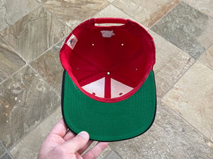 Vintage Georgia Bulldogs Starter Snapback College Hat