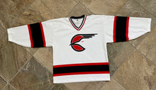 Load image into Gallery viewer, Vintage San Diego Gulls Opti Hockey Jersey, Size Large