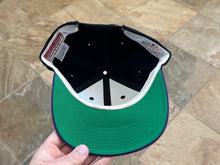 Load image into Gallery viewer, Tampa Bay Devil Rays American Needle Snapback Baseball Hat