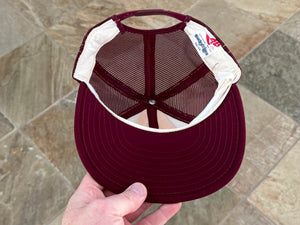 Vintage Arizona State Sun Devils AJD Lucky Stripes Snapback College Hat