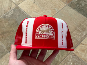 Vintage Birmingham Stallions USFL AJD Snapback Football Hat