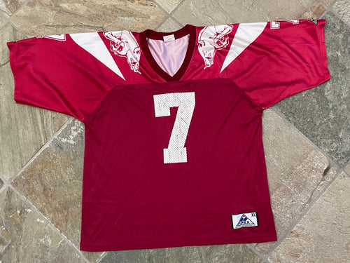 Vintage Arkansas Razorbacks Barry Lunney Apex College Football Jersey, Size XL