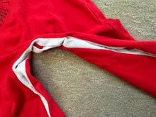 Load image into Gallery viewer, Vintage San Francisco 49ers Football Jumper, Size Toddler, 4T ###