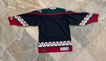 Load image into Gallery viewer, Vintage Arizona Coyotes Kachina CCM Hockey Jersey, Size Youth L/XL, 12-14
