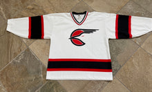 Load image into Gallery viewer, Vintage San Diego Gulls Opti Hockey Jersey, Size Large
