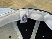 Load image into Gallery viewer, Vintage Lynchburg Hillcats MiLB New Era Snapback Baseball Hat