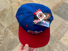 Load image into Gallery viewer, Vintage Quebec Nordiques Twins Snapback Hockey Hat