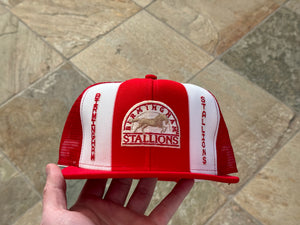 Vintage Birmingham Stallions USFL AJD Snapback Football Hat