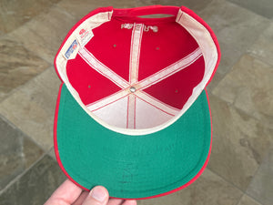 Vintage San Francisco 49ers New Era Snapback Football Hat