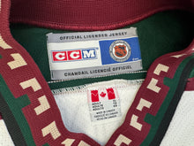 Load image into Gallery viewer, Vintage Phoenix Coyotes Tony Amonte CCM Kachina Hockey Jersey, Size XL