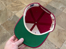 Load image into Gallery viewer, Vintage Phoenix Cardinals Sports Specialties Script Snapback Football Hat