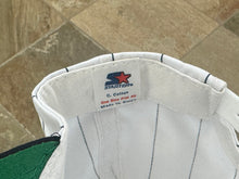 Load image into Gallery viewer, Vintage Penn State Nittany Lions Starter Pinstripe Snapback College Hat