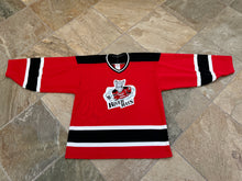Load image into Gallery viewer, Vintage Albany River Rats AHL CCM Hockey Jersey, Size Large