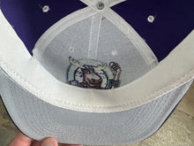 Load image into Gallery viewer, Vintage Minnesota Moose Zephyr Grafx Youth Snapback Hockey Hat