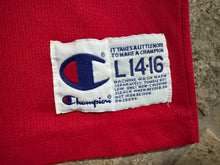Load image into Gallery viewer, Vintage Chicago Bulls Scottie Pippen Champion Basketball Jersey, Size Youth XL, 14-16