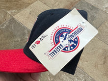 Load image into Gallery viewer, Vintage Buffalo Bisons MiLB New Era Snapback Baseball Hat