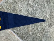 Load image into Gallery viewer, Vintage University of California Irvine Anteaters Felt College Pennant