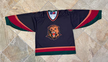 Load image into Gallery viewer, Vintage Utah Grizzlies AHL SP Hockey Jersey, Size Large
