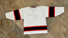 Load image into Gallery viewer, Vintage San Diego Gulls Opti Hockey Jersey, Size Large