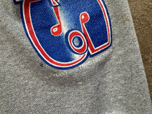 Load image into Gallery viewer, Vintage Buffalo Bills Trench Sweatpants Football Pants, Size Small