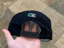 Load image into Gallery viewer, Vintage Lynchburg Hillcats MiLB New Era Snapback Baseball Hat