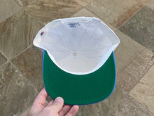 Load image into Gallery viewer, Vintage North Carolina Tarheels Starter Pinstripe Snapback College Hat