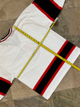 Load image into Gallery viewer, Vintage San Diego Gulls Opti Hockey Jersey, Size Large