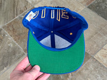 Load image into Gallery viewer, Vintage St. Louis Blues AJD Monster Logo Snapback Hockey Hat