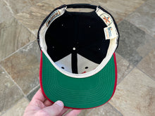 Load image into Gallery viewer, Vintage Detroit Red Wings Sports Specialties Script Pinstripe Snapback Hockey Hat
