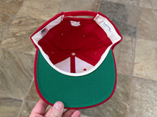 Load image into Gallery viewer, Vintage Georgia Bulldogs Starter Arch Snapback College Hat