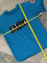 Load image into Gallery viewer, Vintage San Jose Sharks Starter Pinstripe Hockey Jersey, Size Large