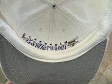 Load image into Gallery viewer, Vintage Minnesota Vikings Snapback Football Hat