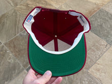 Load image into Gallery viewer, Vintage Phoenix Arizona Cardinals Sports Specialties Circle Logo Snapback Football Hat