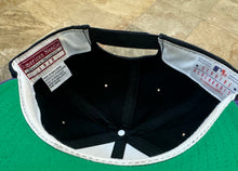 Load image into Gallery viewer, Tampa Bay Devil Rays American Needle Snapback Baseball Hat