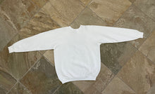 Load image into Gallery viewer, Vintage Detroit Lions 1991 Division Champions Football Sweatshirt, Size XL