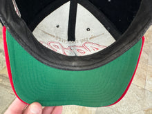 Load image into Gallery viewer, Vintage San Francisco 49ers Starter Snapback Football Hat