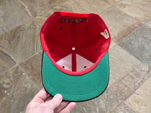 Load image into Gallery viewer, Vintage UNLV Runnin’ Rebels Bugs Bunny Looney Tunes Snapback College Hat