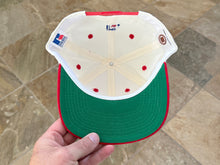 Load image into Gallery viewer, Vintage Carolina Hurricanes Russell Athletic Snapback Hockey Hat