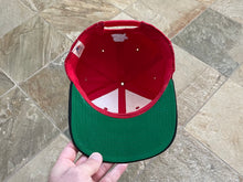 Load image into Gallery viewer, Vintage Georgia Bulldogs Starter Snapback College Hat