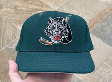 Load image into Gallery viewer, Vintage Chicago Wolves IHL Proline Pro Fitted Hockey Hat, Size 7 3/8