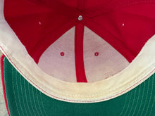 Load image into Gallery viewer, Vintage Calgary Flames Sports Specialties Script Snapback Hockey Hat