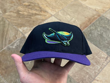 Load image into Gallery viewer, Tampa Bay Devil Rays American Needle Snapback Baseball Hat
