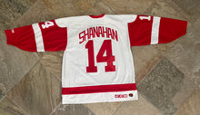 Load image into Gallery viewer, Vintage Detroit Red Wings Brendan Shanahan CCM Hockey Jersey, Size XL
