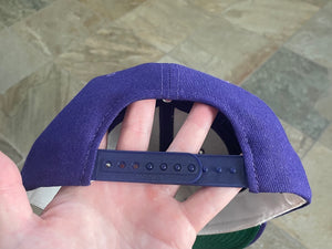 Vintage Furman Paladins Sports Specialties Script Snapback College Hat