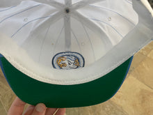 Load image into Gallery viewer, Vintage North Carolina Tarheels Starter Pinstripe Snapback College Hat