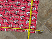 Load image into Gallery viewer, Vintage San Francisco 49ers NFL Football Fabric Sheet ###